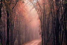 球盟会:哀悼!德國傳奇球星蓋德穆勒去世 享年75歲.