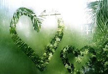 中国足协基本放弃申办2031年男足亚洲杯.