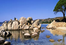 球盟会:记者:曼联与阿森纳、切尔西竞争德拉普和谢什科;尤文想签安东尼.